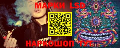индика Краснокаменск
