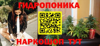 индика Краснокаменск